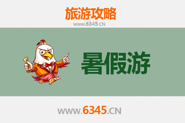 西双版纳勐腊暑假旅游攻略：热带雨林与民族风情的完美之旅