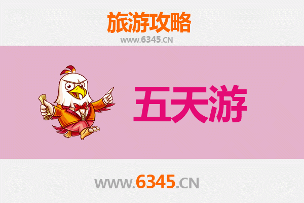 西双版纳五天四夜深度游攻略：热带雨林与傣族文化之旅